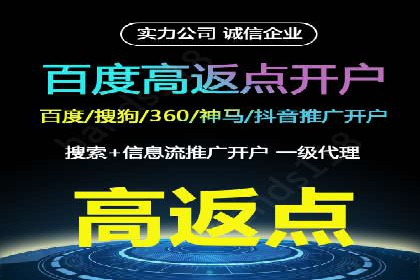 行业领先企业的百度广告推广费用揭秘